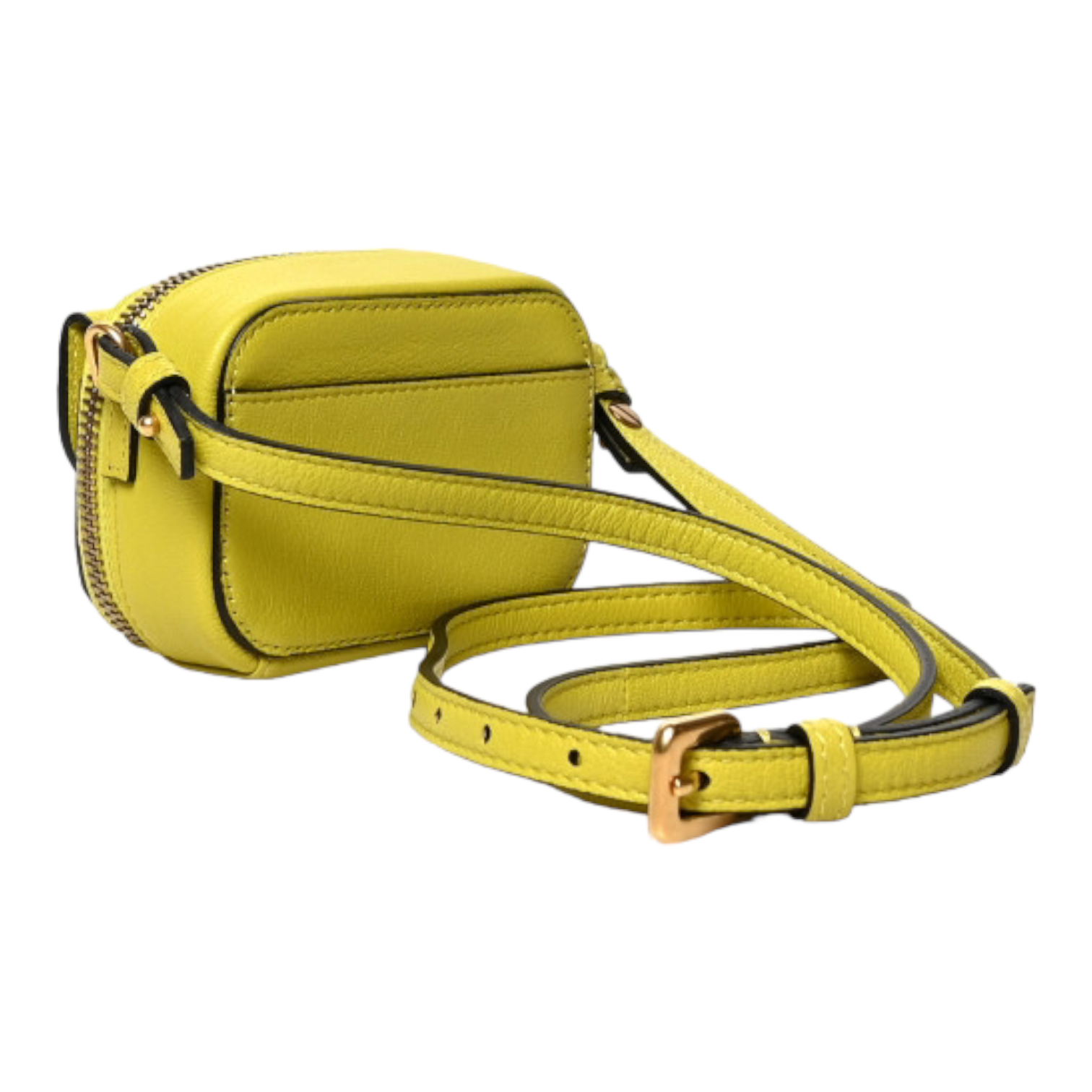 Dior Goatskin Mini Saddle Shoulder Strap Pouch Lime