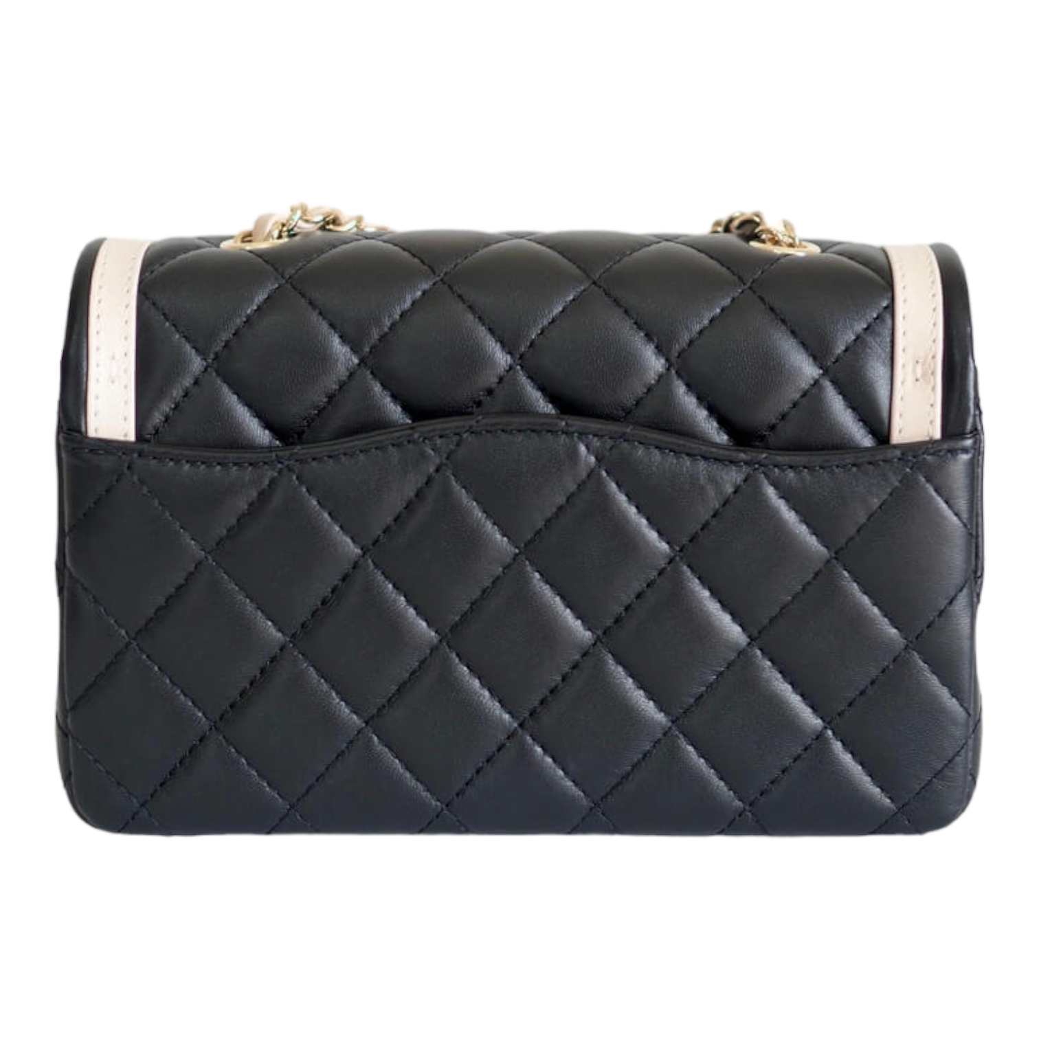 Chanel 23B Mini Rectangular Two-tone Lambskin GHW